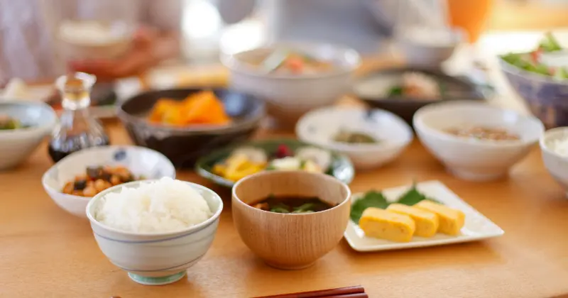 「モチノキの郷」の特徴
