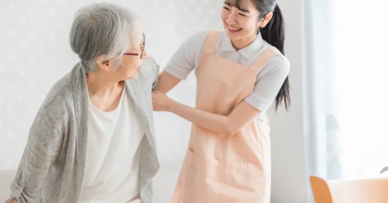 主なサービス内容